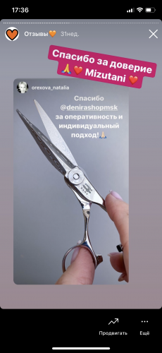 Отзыв Мизутани 4