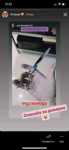 Отзыв Мизутани 13