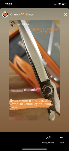 Отзыв Мизутани 10